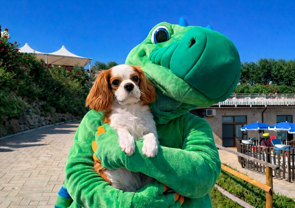 Resort pet friendly au cœur des Marche